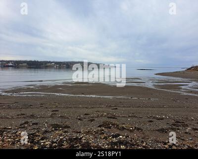 Häuser am Strand in Louisbourg, Nova Scotia, Kanada Stockfoto
