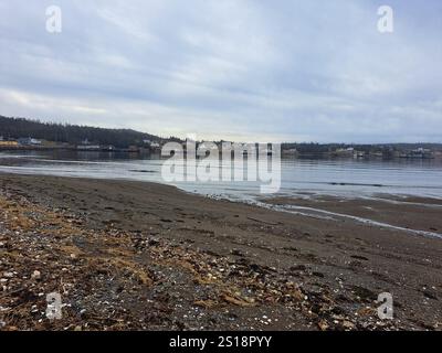 Häuser am Strand in Louisbourg, Nova Scotia, Kanada Stockfoto