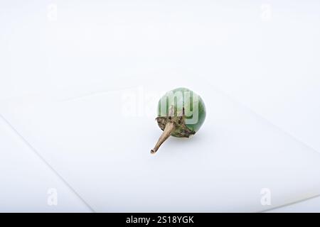 Gesundes grünes rundes Mini Auberginen-Gemüse fotografiert mit weißem Grund und Hintergrund Stockfoto
