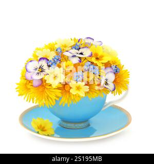 Surreales Frühlings-Blumenarrangement in blauer Teetasse und Untertasse auf weiß. Natürliche Blume abstrakte alternative Kräutermedizin für Heiltee. Stockfoto