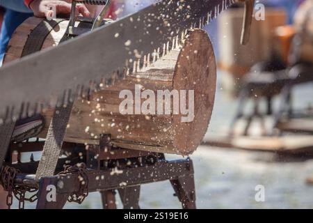 Sägen oder trontza, traditioneller navarra- und baskenlandsport. Die Teilnehmer zerschnitten den Stamm in Ringe, die einige Zentimeter dick sind Stockfoto