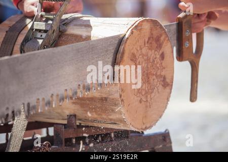 Sägen oder trontza, traditioneller navarra- und baskenlandsport. Die Teilnehmer zerschnitten den Stamm in Ringe, die einige Zentimeter dick sind Stockfoto