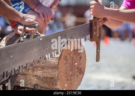 Sägen oder trontza, traditioneller navarra- und baskenlandsport. Die Teilnehmer zerschnitten den Stamm in Ringe, die einige Zentimeter dick sind Stockfoto