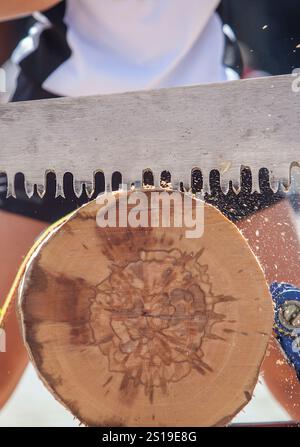 Sägen oder trontza, traditioneller navarra- und baskenlandsport. Die Teilnehmer zerschnitten den Stamm in Ringe, die einige Zentimeter dick sind Stockfoto