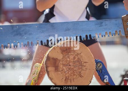 Sägen oder trontza, traditioneller navarra- und baskenlandsport. Die Teilnehmer zerschnitten den Stamm in Ringe, die einige Zentimeter dick sind Stockfoto