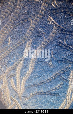 Schöne abstrakte Frostmuster, die durch Eiskristalle auf Fensterscheiben im Winter gebildet werden Wales Großbritannien KATHY DEWITT Stockfoto