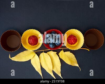 Heidelbeeren und Himbeeren in kleinen bunten Silikon-Backbechern auf schwarzem Hintergrund. Sommer und Herbst saisonales gesundes Kochkonzept. Stockfoto