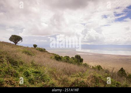 Malerischer Blick auf die Ngorongoro Conservation Area mit dem Lago Magadi in Tansania, Ostafrika Stockfoto