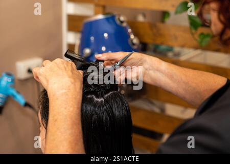 Eine Frau lässt sich von einer Stylistin die Haare schneiden. Der Stylistin schneidet der Frau mit einer Schere die Haare ab. Die Frau sitzt auf einem Stuhl, während t Stockfoto