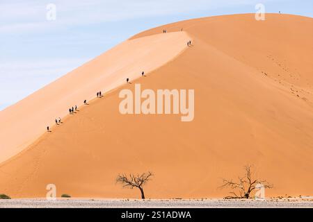 Namibia, Hardap District, Sesriem, Namib Sand Sea, das von der UNESCO zum Weltkulturerbe erklärt wurde, Namib Naukluft Nationalpark, Sossusvlei Dünen, Touristen klettern 45 Stockfoto