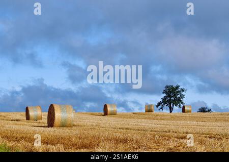 Frankreich, Doubs, Allenjoie, Plateau, Landwirtschaft, Strohballen Stockfoto