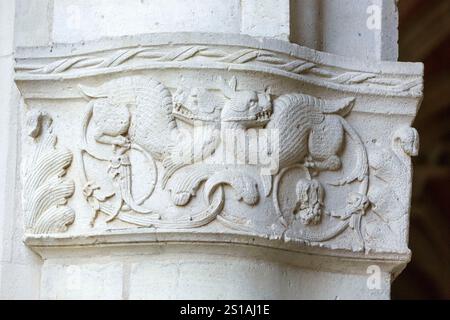 Frankreich, Meurthe-et-Moselle, Nancy, Detail der Hinterfassade des Palastes der Herzöge von Lothringen, heute das Musée Lorrain (Lothringen Museum), Hauptstadt, die fantastische Tiere auf der Säule der gewölbten Galerie im extravaganten gotischen Stil darstellt Stockfoto