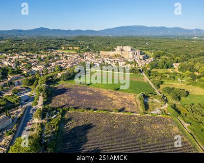 Frankreich, Drôme, Grignan, mit Les Plus Beaux Villages de France, Lavendelfeld, Dorf und Burg Grignan, sechs Jahrhunderte lang Residenz der Linie Adhémar (Luftaufnahme) Stockfoto