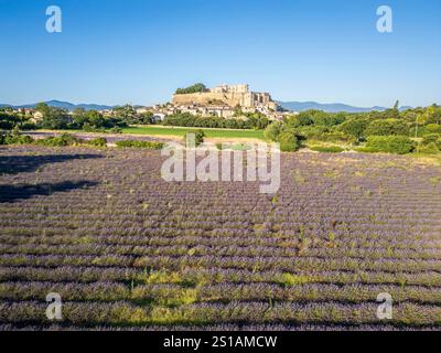 Frankreich, Drôme, Grignan, mit Les Plus Beaux Villages de France, Lavendelfeld, Dorf und Burg Grignan, sechs Jahrhunderte lang Residenz der Linie Adhémar (Luftaufnahme) Stockfoto