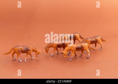 Braune Miniaturpferde, die in Bildung auf braunem Hintergrund grasen Stockfoto