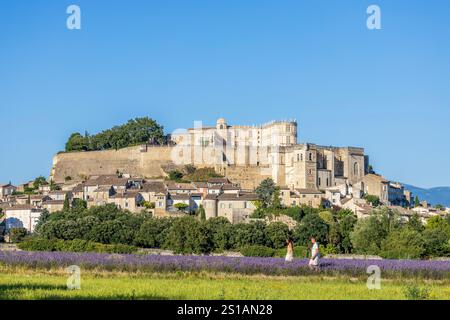 Frankreich, Drôme, Grignan, mit Les Plus Beaux Villages de France, Lavendelfeld vor der romanischen Kapelle Saint-Vincent aus dem 12. Jahrhundert, Dorf und Burg Grignan die Burg Grignan, sechs Jahrhunderte lang Residenz der Linie Adhémar Stockfoto