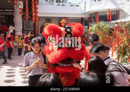 Lion Dance Performance im chinesischen Tempel in Chinatown Kuala Lumpur, Malaysia. Chinesisches Neujahrsfest Stockfoto