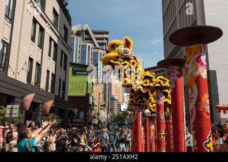 Lion Dance Performance im chinesischen Tempel in Chinatown Kuala Lumpur, Malaysia. Chinesisches Neujahrsfest Stockfoto