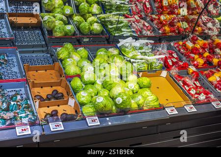 Frischer grüner Salat und reife Avocados werden in Gemüseregalen im Lebensmittelgeschäft ausgestellt. Stockfoto