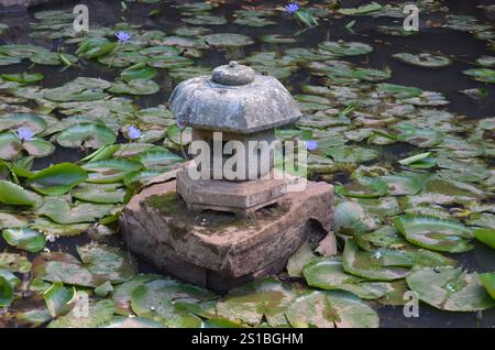 Seerosenteich mit Miniaturpagode. Ruhiger, ruhiger Hintergrund. Stockfoto