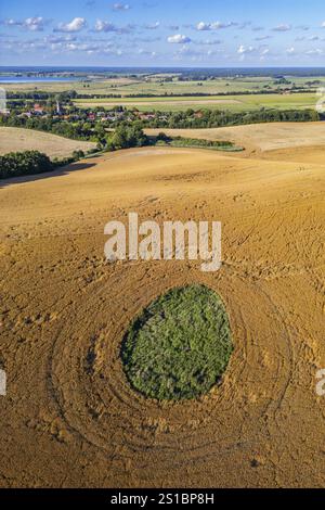 Luftaufnahme, Drohnenfoto: Gras wächst in einem flachen Eisloch aus der Eiszeit, umgeben von einem Maisfeld, im Hintergrund das Dorf Gehren, br Stockfoto