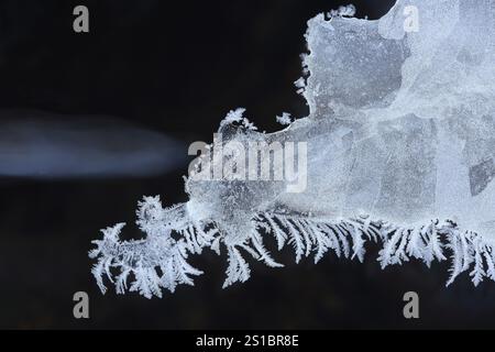 Eis auf einem gefrorenen Bach, Kristalle Stockfoto