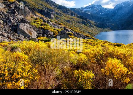 Laguna del Duque. Sierra de Bejar. Regionalpark Sierra de Gredos. Solana de Avila. Provinz Avila. Castilla y Leon. Spanien. Stockfoto