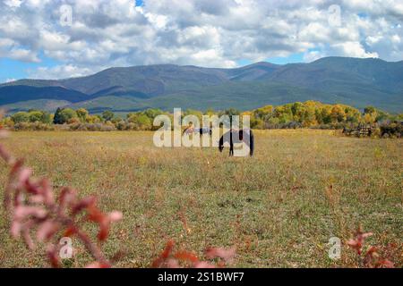 Taos Pueblo Dorf in New Mexico Stockfoto