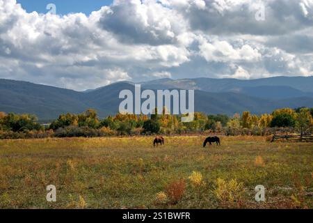 Taos Pueblo Dorf in New Mexico Stockfoto