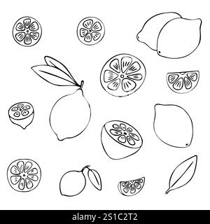 Zitronenfrucht-Doodle-Set. Halb, ganz, Scheiben, Blätter. Schwarze handgezeichnete Kontur isoliert auf weißem Hintergrund. Stock Vektor