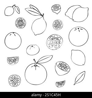 Zitrus-Doodle-Set. Verschiedene Zitrusfrüchte, Orangen, Mandarinen, Zitronen, Limetten usw. Halbe, ganze, Scheiben. Stock Vektor