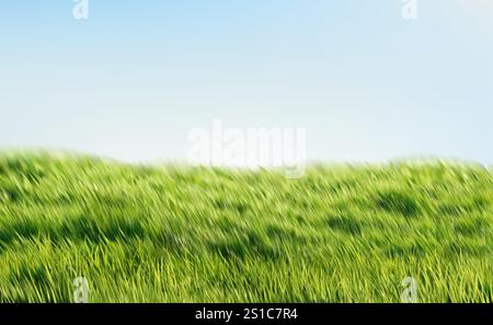 Realistische Grüne Gras Blue Sky Frühlingslandschaft. Natur Landschaft Wiese Hintergrund. Vektorabbildung Stock Vektor