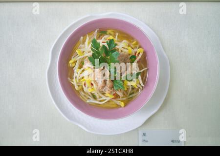 Eine gefälschte Plastikschale der Suppe Pho aus Vietnam. Im Reismuseum in Seoul, Südkorea. Stockfoto