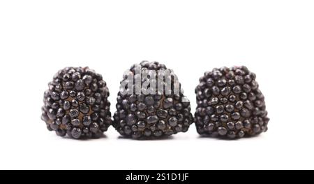 Drei schwarze jujube-farbene Kugeln auf weißem Hintergrund Stockfoto