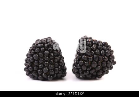 Zwei schwarze jujube-farbene Kugeln auf weißem Hintergrund Stockfoto
