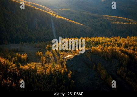 Ruhiger Blick aus der Luft auf einen Wald in goldenen Herbstfarben, beleuchtet durch Sonnenlicht. Stockfoto