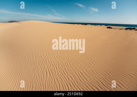 Wüstendünen am Ozean Stockfoto