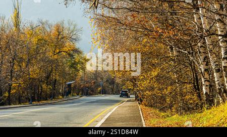 Baumtunnel im Herbst entlang der malerischen Autobahn M41 auf der Keweenaw-Halbinsel auf der oberen Halbinsel von Michigan. Hochwertige Fotos Stockfoto