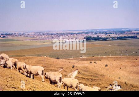 Mit der Überschrift „Hill Fort nahe Warminster“, Wiltshire, England, Großbritannien 1976 vermutlich Battlesbury Camp Stockfoto