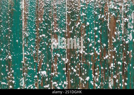 Verschlechterung grüner Holzzaun mit Schnee - rustikale Winterhintergrundstruktur Stockfoto