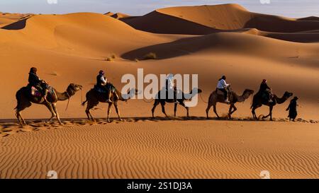 Kamelkarawane durch die goldenen Wüstendünen in der Sahara bei Sonnenuntergang Stockfoto