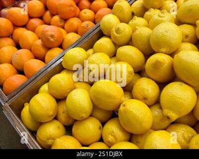 Nahaufnahme von frischen gelben Zitronen und lebendigen Orangen in Holzbehältern Stockfoto