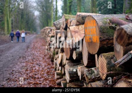 Gefällte und gestapelte Baumstämme mit Keep-off-Schild. Grovely Wood, Wiltshire, Großbritannien. Stockfoto
