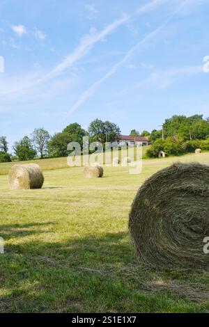 Trockene Rundballen auf einem Feld in Südfrankreich in der Nähe von Saint-Céré Lot Occitanie unter blauem Himmel. Runde Heuballen am Hang eines Berges im Sommer. Stockfoto