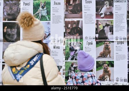 LEMBERG, UKRAINE - 29. DEZEMBER 2024 - Eine Frau und ein Mädchen sehen sich die Fotos von streunenden Katzen und Hunden an, die während des Basars der guten Wohltätigkeitsveranstaltung in Lemberg, Westukraine, zur Adoption gestellt wurden. Stockfoto