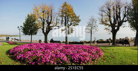 Blick auf Desenzano del Garda. Oktober 2024, Desenzano del Garda, Brescia, Italien Stockfoto