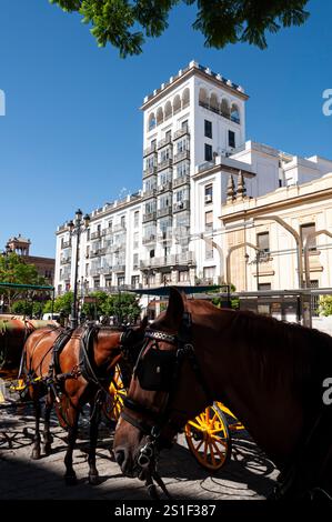 Pferdekutschen für Touristen in Sevilla, Andalusien, Spanien Stockfoto