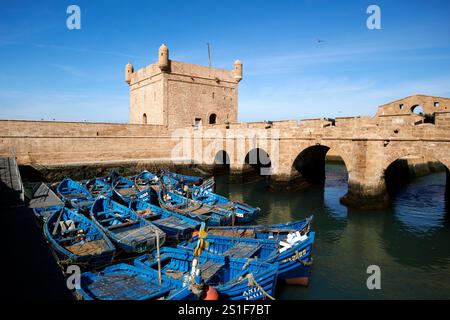 Blau lackierte traditionelle hölzerne Fischerboote vor dem Skala du Port und der Hafenbefestigung essaouira, marokko Stockfoto