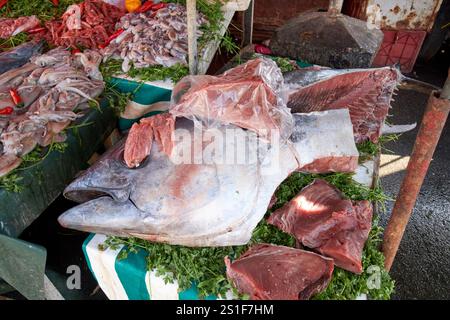 Großer Thunfisch und eine Auswahl an frischem Fisch, der von einem Stand vor den Fischerbooten im Hafen von essaouira, marokko, verkauft wird Stockfoto