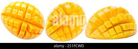 Set von Mangoblättern isoliert auf weißem Hintergrund. Stockfoto